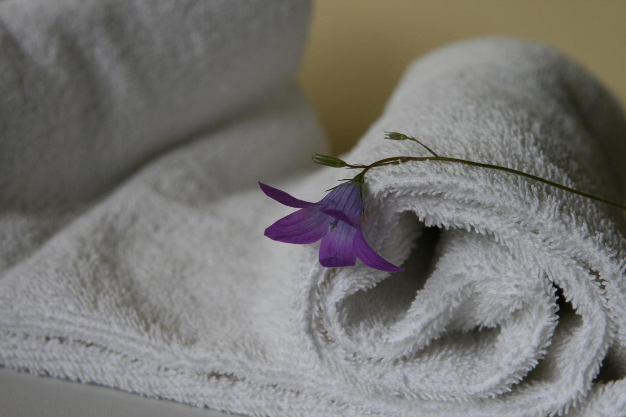 Hotel Audenis Birštonas Стая снимка