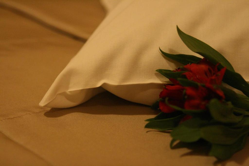Hotel Audenis Birštonas Екстериор снимка